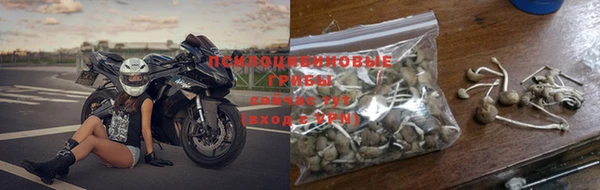 гашик Бугульма