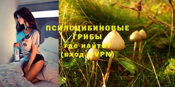 гашик Бугульма