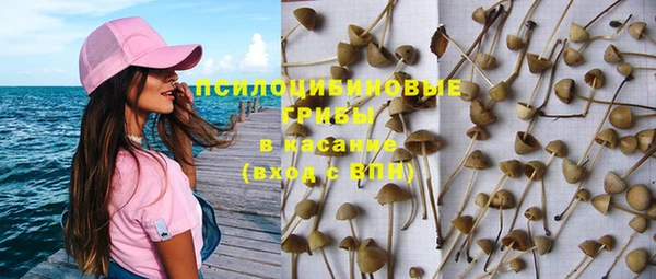 гашик Бугульма