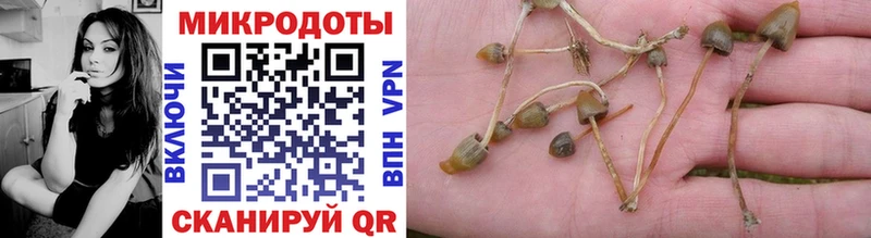 Купить  Бобров  Псилоцибиновые грибы Psilocybe 